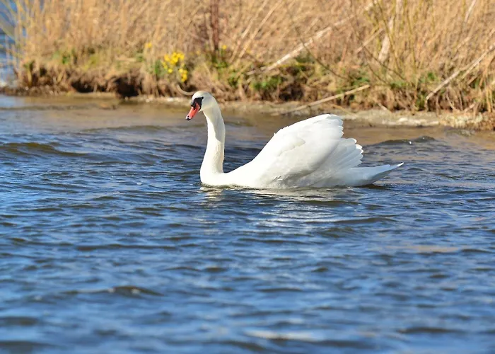 Royale Cube Mit Dachterrasse Meerblick Und Hébergement de vacances