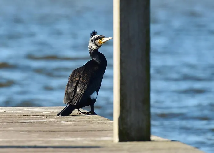 Royale Cube Mit Dachterrasse Meerblick Und