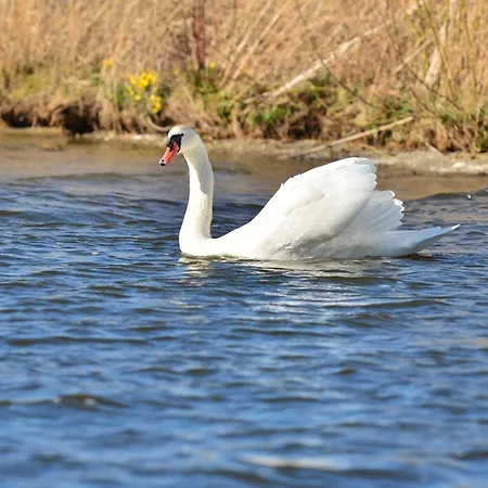 Royale Cube Mit Dachterrasse Meerblick Und Casa de Férias