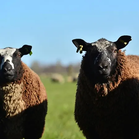 Casa de Férias Royale Cube Mit Dachterrasse Meerblick Und *