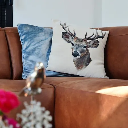 Royale Cube Mit Dachterrasse Meerblick Und Casa de Férias Hulshorst