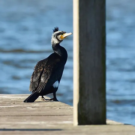 Royale Cube Mit Dachterrasse Meerblick Und
